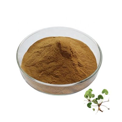 Natural Herb Centella Asiatica Extract Gotu Kola Powder For Sensitive Skin