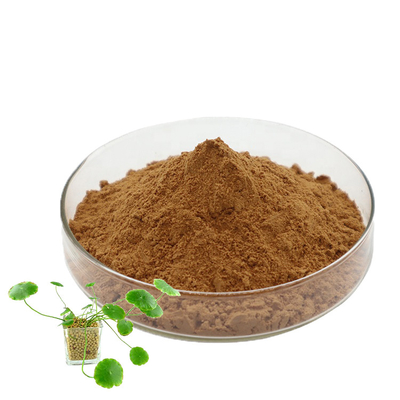 Maglia asiatica di Centella Gotu Kola Leaf Extract Powder 80 di cura di pelle