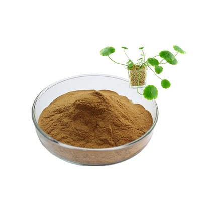Maglia asiatica di Centella Gotu Kola Leaf Extract Powder 80 di cura di pelle