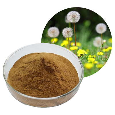 Dente di leone in serie Herb Root Leaf Extract Powder di Mongolicum del Taraxacum di 10:1