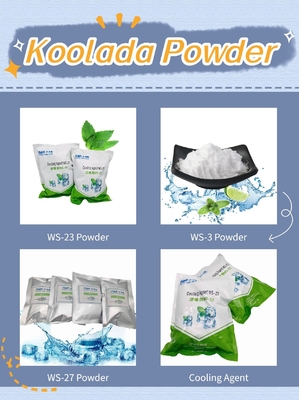 Sapore pronto di Powder For Ice del refrigerante di CAS 51115-67-4 WS-23 Vape
