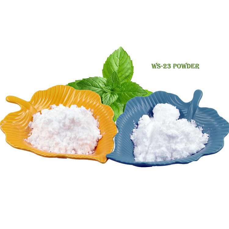 Sapore pronto di Powder For Ice del refrigerante di CAS 51115-67-4 WS-23 Vape