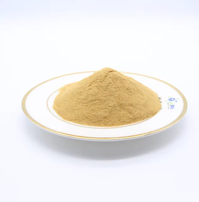 Aroma e sapore di polvere di carne di manzo Pure Natrue & Essenza di manzo per alimenti