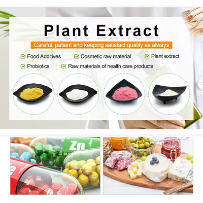 Additivo in polvere bianco di alta qualità alimentare con durata di conservazione di 2 anni