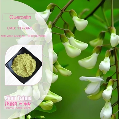 Estratto vegetale Quercetina in polvere 98% Sophora Japonica Estratto CAS 117-39-5