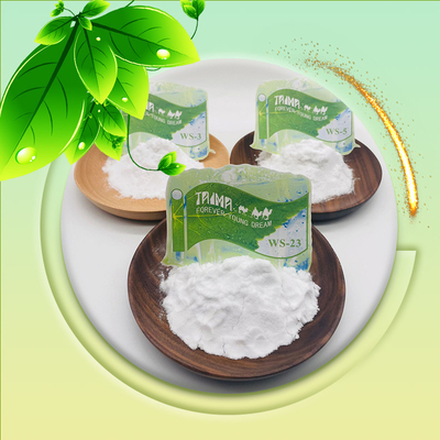 Agente di raffreddamento di grado alimentare WS-27/WS-23/WS-3 nell'industria alimentare, delle bevande e della cosmetica