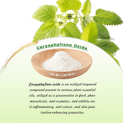 Polvere di ossido di cariofilene con punto di fusione 55-62 °C, punto di ebollizione 301,3°C e densità 0,96 per applicazioni farmaceutiche