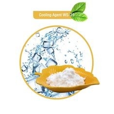 Koolada WS-23 raffreddamento E liquido concentrato esaltatore del sapore