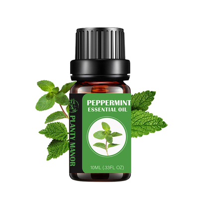 Cina Produttore olio essenziale di menta piperita di alta purezza
