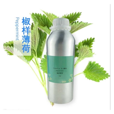 Olio di menta pura Olio essenziale di menta al forno con campione gratuito