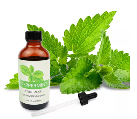 Olio essenziale di menta piperita naturale al 100% ODM per la cura della pelle
