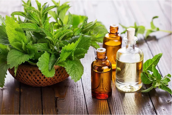 Olio essenziale di menta 100% naturale, organico, estratto di menta piperita 30 ml