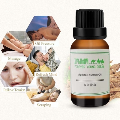 Olio essenziale di angelica profumato per anti-età e regolazione della secrezione cutanea