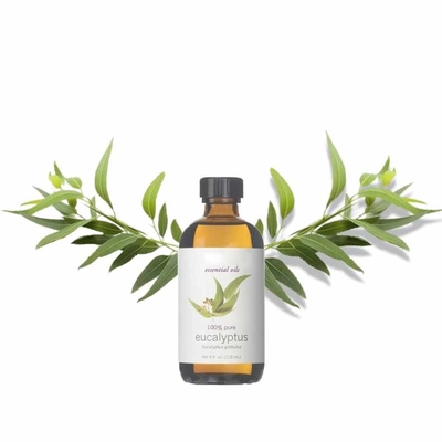 Olio essenziale di eucalipto puro aromatico HPLC per anti-gonfiore CAS 470-82-6