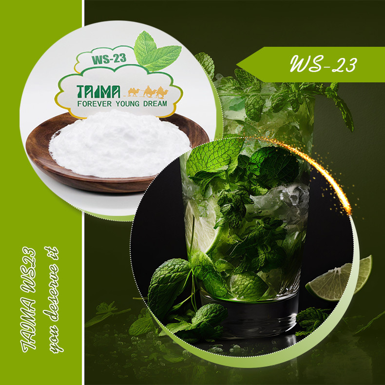 Agente rinfrescante WS-23 in polvere 99% CAS n. 51115-67-4, qualità alimentare, agente rinfrescante WS23 per alimenti, bevande e vaporizzatori