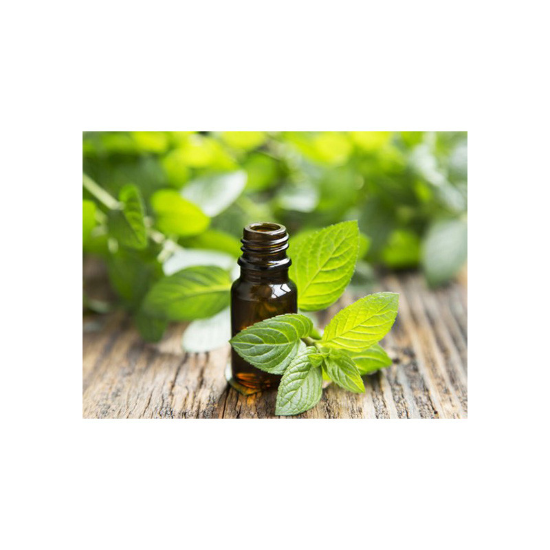 Foglie incolore CAS 8006-90-4 Olio essenziale di menta piperita