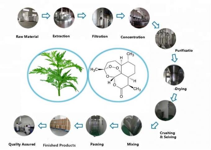 Erba Pura CAS 63968-64-9 Estratto di Artemisia Annua C15H22O5 0